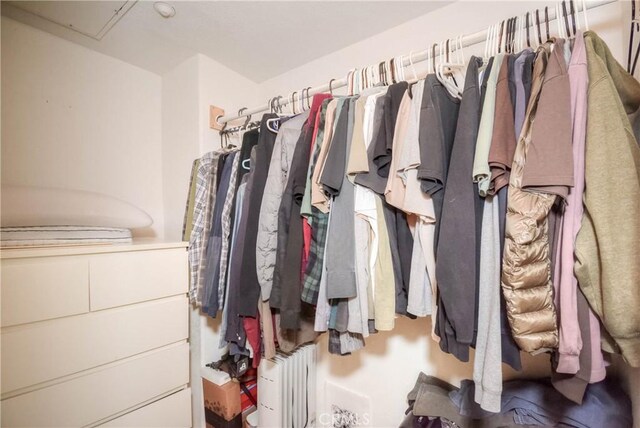 803 Maplewood, Irvine, CA 92618 - view of walk in closet