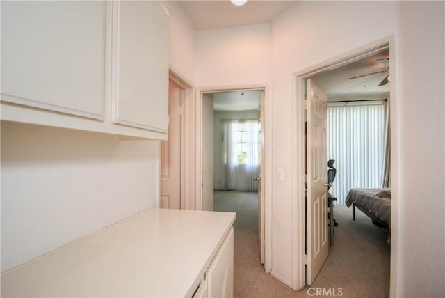 803 Maplewood, Irvine, CA 92618 - corridor with light colored carpet