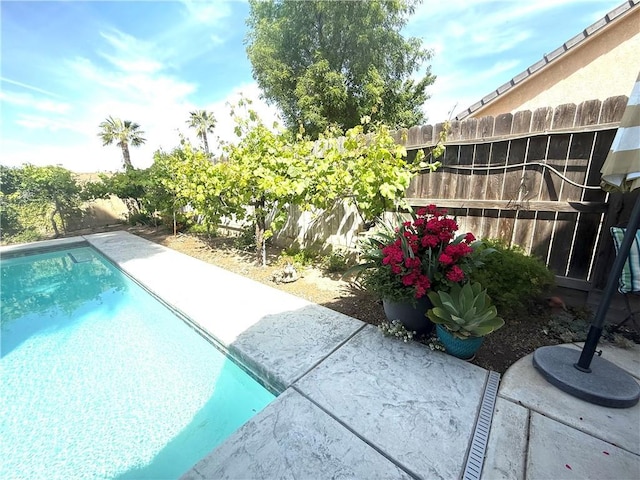 5170 Coronado St, Chowchilla, CA 93610 - pool featuring fence and a patio area