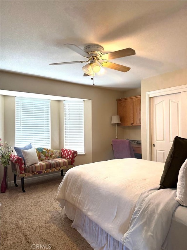 5170 Coronado St, Chowchilla, CA 93610 - carpeted bedroom with ceiling fan and a closet