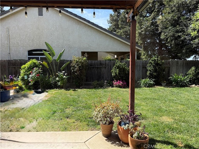 5170 Coronado St, Chowchilla, CA 93610 - view of yard featuring a fenced backyard