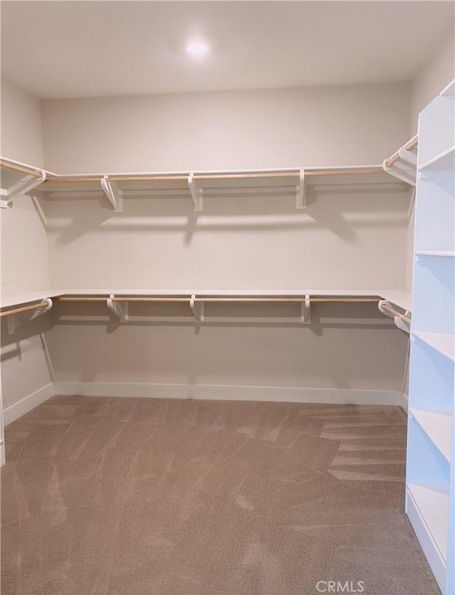 walk in closet with carpet