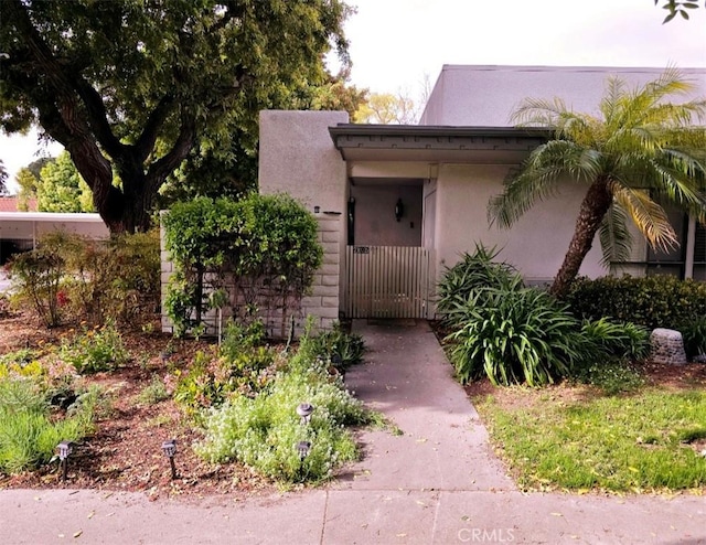 doorway to property with a gate and stucco siding