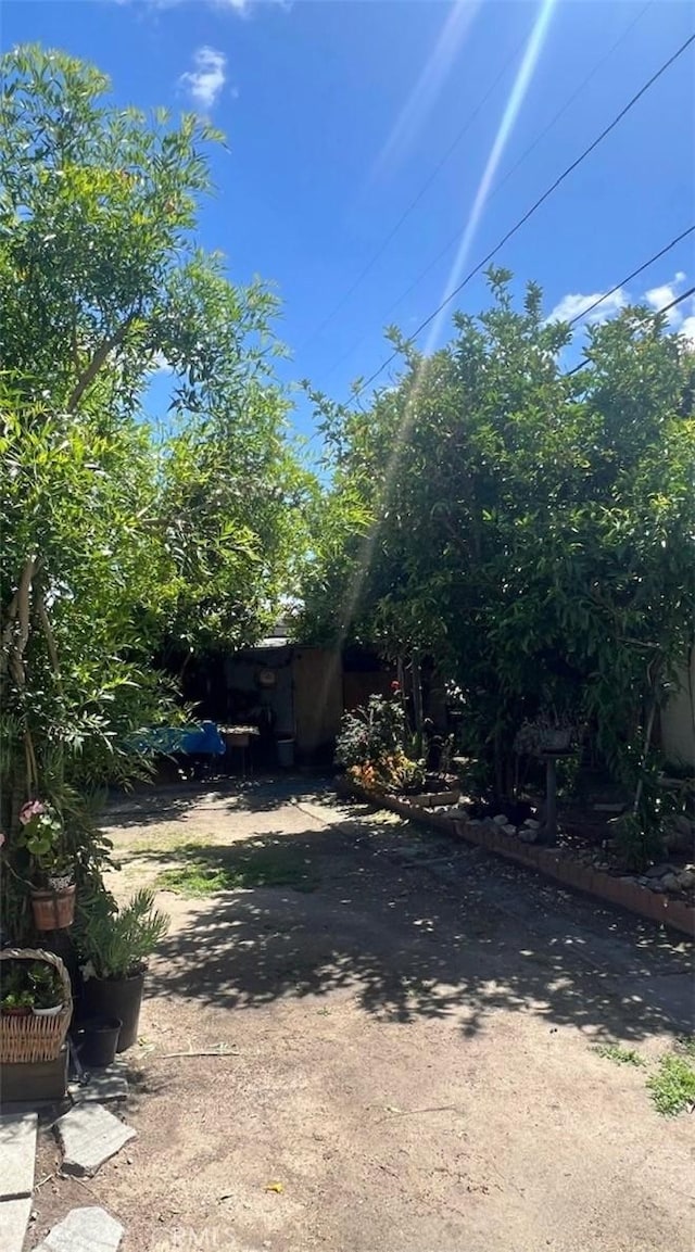 7935 Cleon Ave, Sun Valley, CA 91352 - view of yard