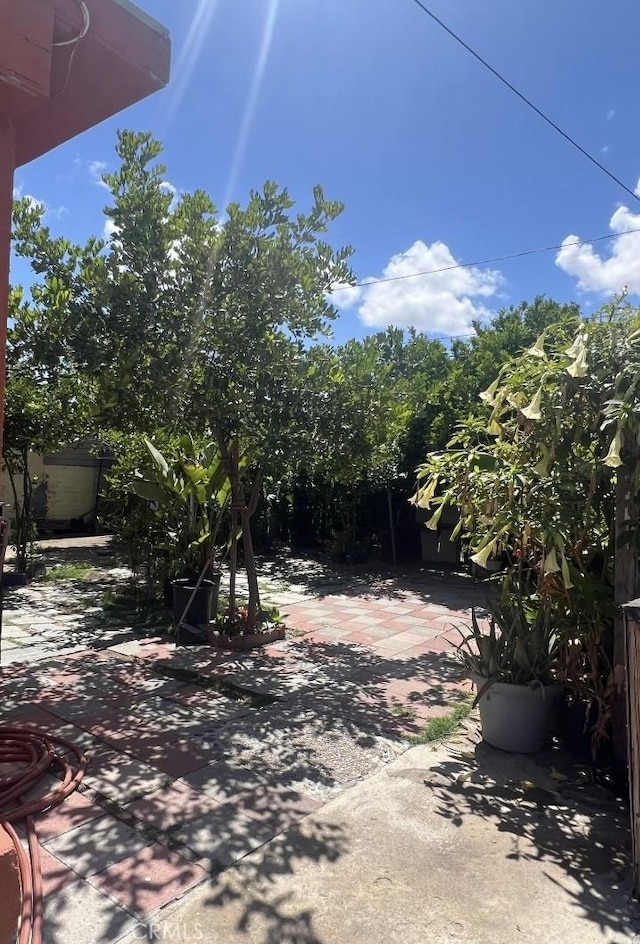 7935 Cleon Ave, Sun Valley, CA 91352 - view of patio / terrace