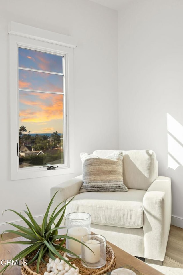 sitting room with baseboards and wood finished floors
