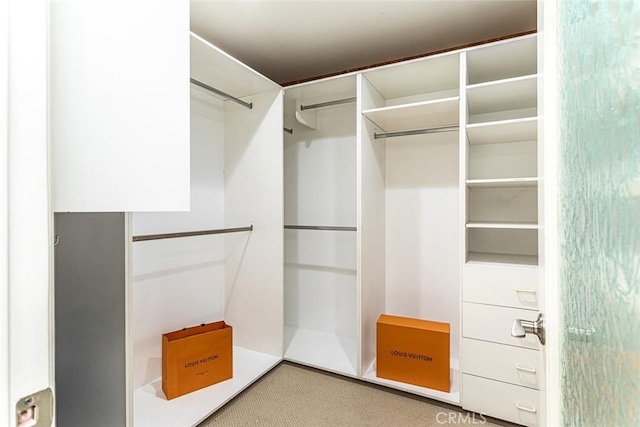 1232 Blue Gum Ln, Newport Beach, CA 92660 - walk in closet with carpet