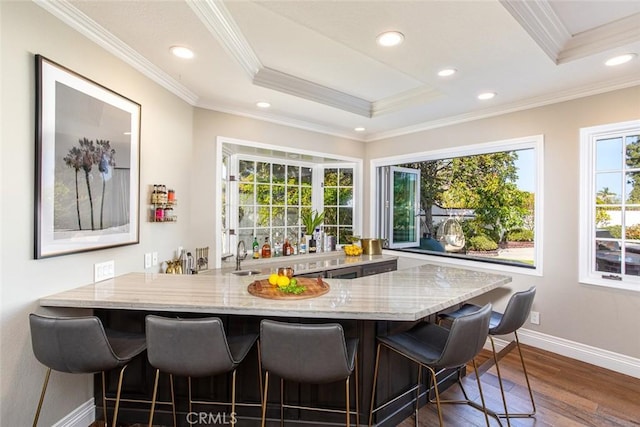 1232 Blue Gum Ln, Newport Beach, CA 92660 - bar with recessed lighting, dark wood-style flooring, a raised ceiling, crown molding, and baseboards