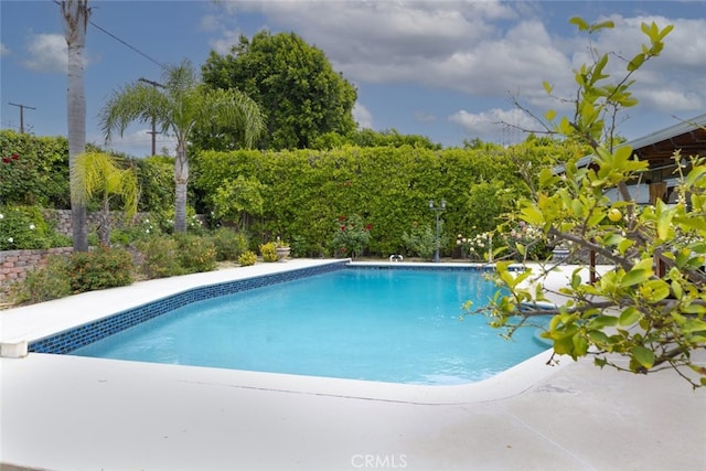 view of outdoor pool