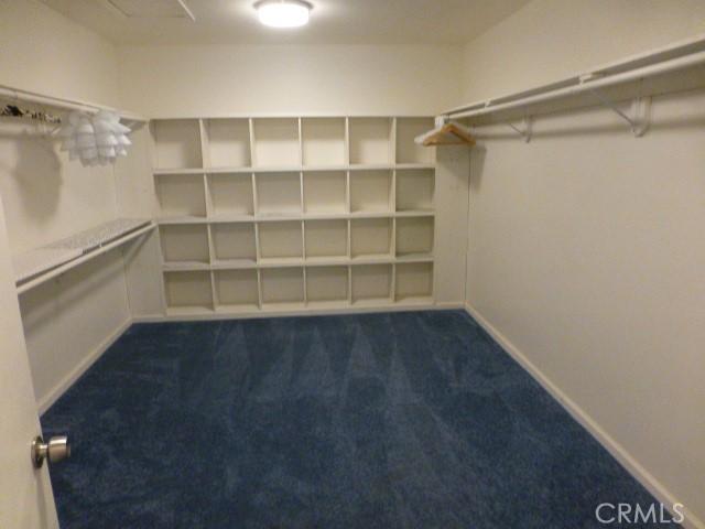 3465 Condor Rd Unit 29, Palms, CA 92277 - walk in closet featuring dark colored carpet