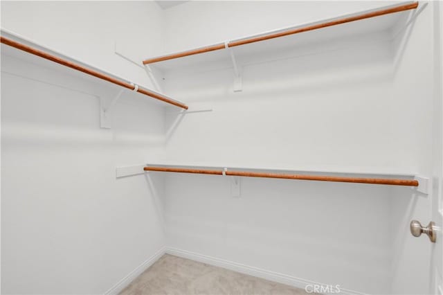 spacious closet with light colored carpet