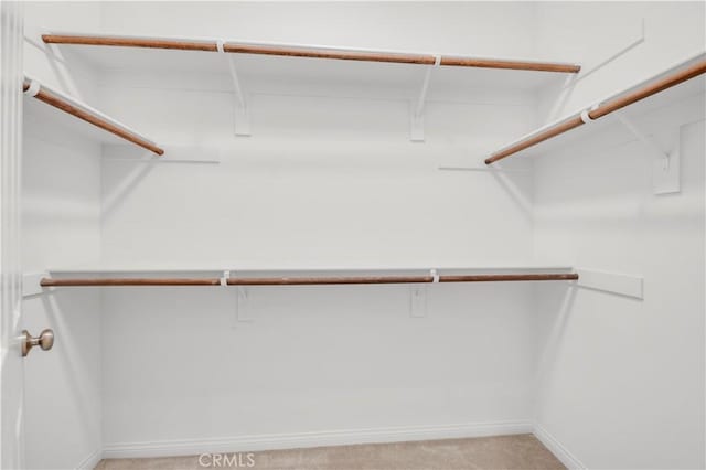 walk in closet featuring light colored carpet