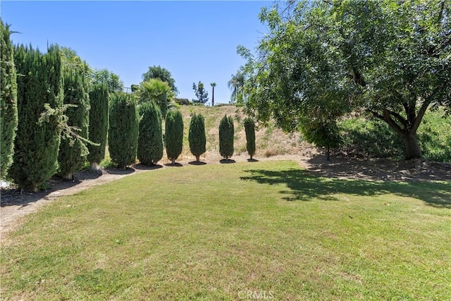 5655 Via Mensabe, Riverside, CA 92506 - view of grassy yard