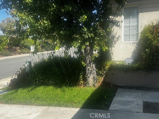 31329 Seminole St, Temecula, CA 92591 - view of yard