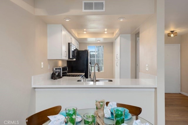 kitchen featuring visible vents, a peninsula, a tray ceiling, a sink, and stainless steel appliances