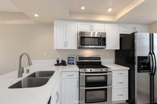 kitchen with a sink, white cabinetry, a tray ceiling, and stainless steel appliances