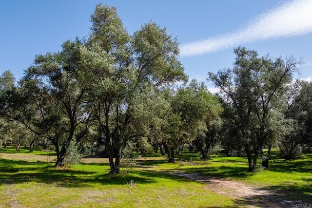 2804 S Grade Rd, Alpine, CA 91901
