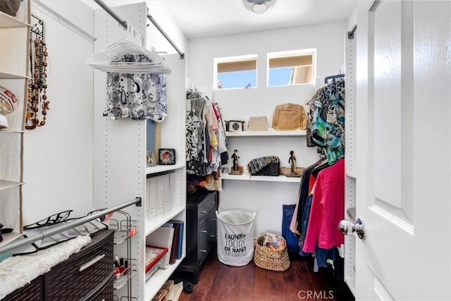 walk in closet featuring wood finished floors