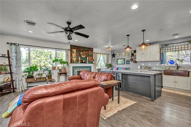 15314 Summit Blvd, Cobb, CA 95426 - photo 12