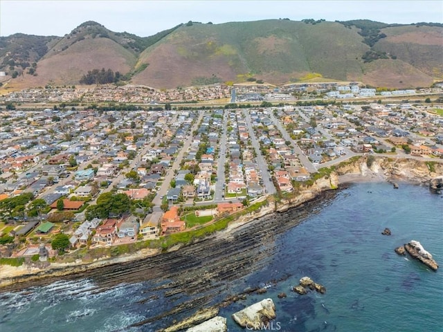 214 Placentia Ave, Pismo Beach, CA 93449 - photo 35