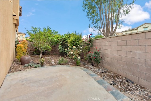 view of yard with a patio and a fenced backyard
