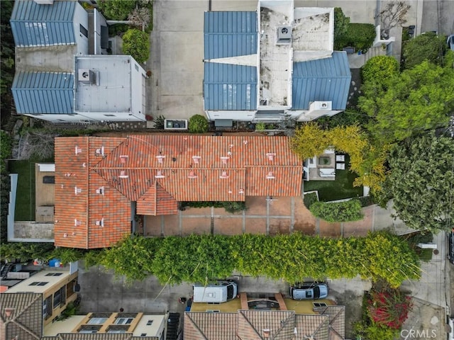 drone / aerial view