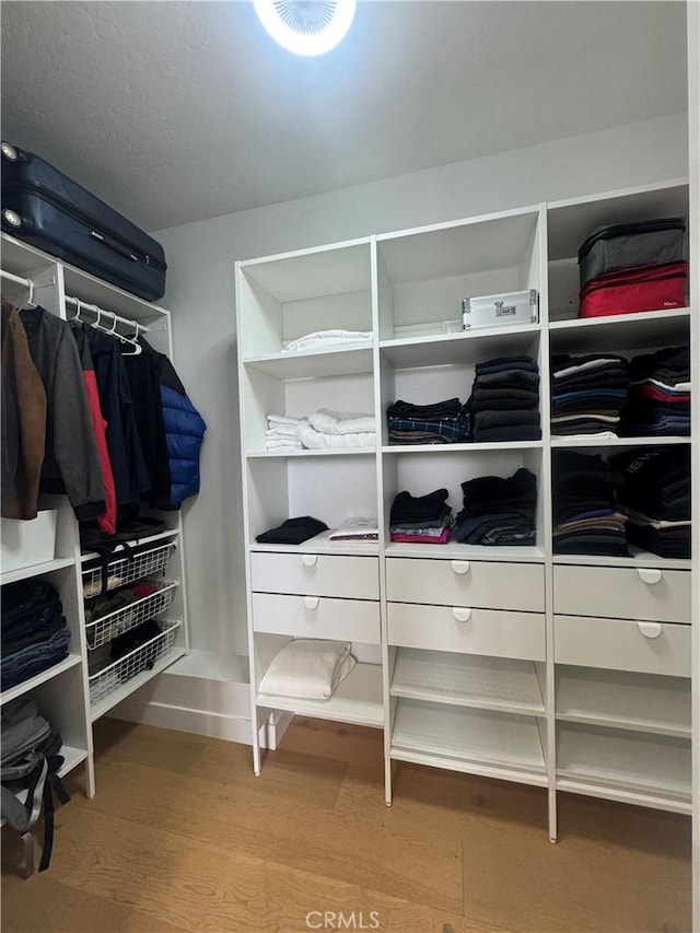 walk in closet featuring wood finished floors