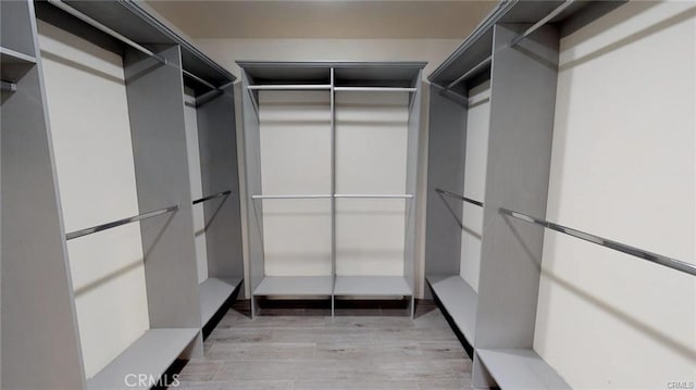 walk in closet featuring light wood-style flooring