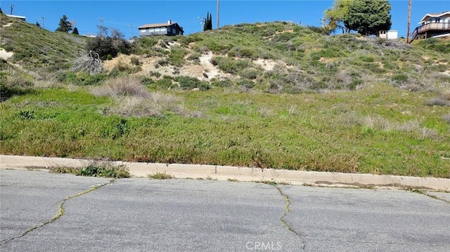 0 Kiptree Dr, Lake Elizabeth, CA 93532 - photo 3
