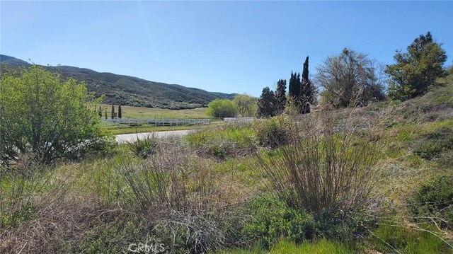 0 Kiptree Dr, Lake Elizabeth, CA 93532 - photo 6