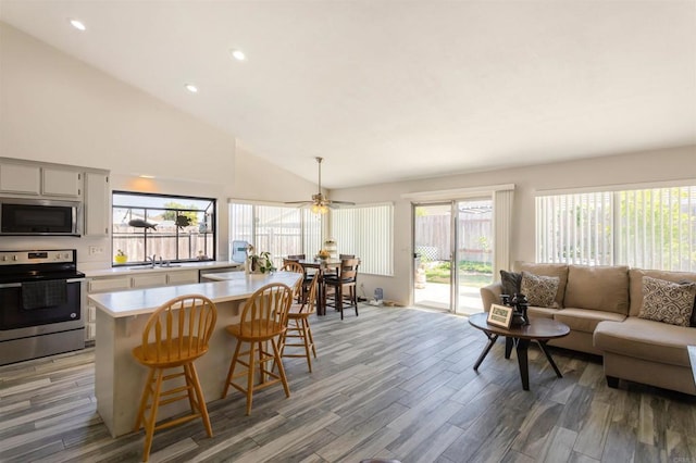 kitchen with appliances with stainless steel finishes, a sink, light wood finished floors, light countertops, and open floor plan