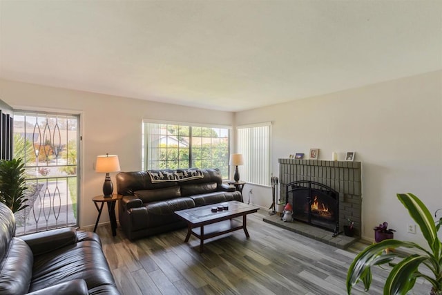 living area featuring baseboards, plenty of natural light, wood finished floors, and a fireplace