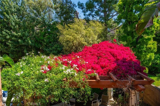 19 Ivanhoe, Irvine, CA 92602 - exterior space