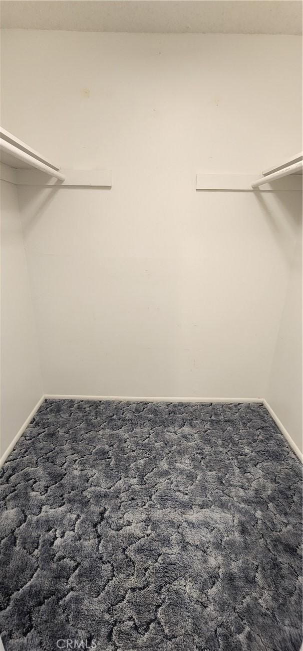 1030 N Lovekin # 27, Blythe, CA 92225 - walk in closet with carpet floors