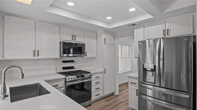 kitchen with appliances with stainless steel finishes, a sink, recessed lighting, white cabinetry, and a tray ceiling
