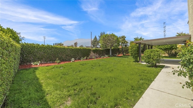 view of yard