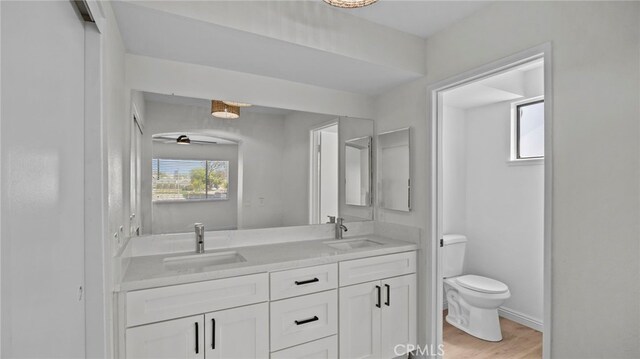 bathroom with double vanity, a sink, wood finished floors, and toilet