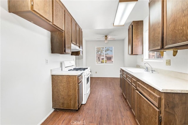 kitchen with dark wood finished floors, under cabinet range hood, a sink, and white gas range oven