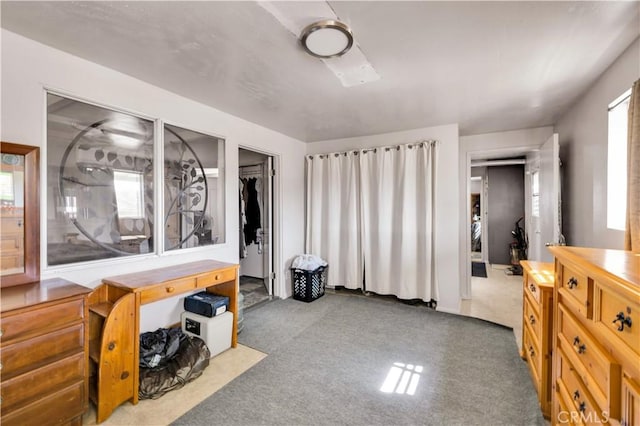 carpeted bedroom with multiple windows