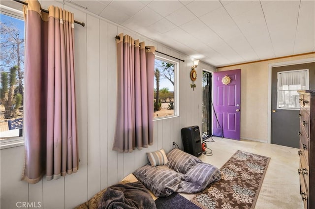 interior space featuring wood walls