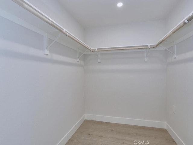 spacious closet with light wood-type flooring