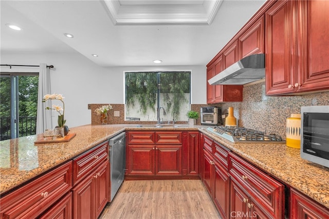 kitchen with dark brown cabinets, appliances with stainless steel finishes, a sink, light wood-type flooring, and under cabinet range hood