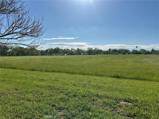 23271 Olive Ave, Gerber, CA 96035 - view of local wilderness with a rural view