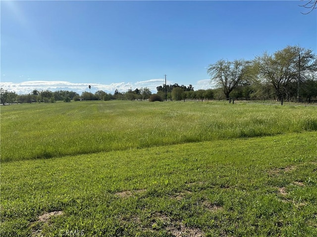 23271 Olive Ave, Gerber, CA 96035 - view of nature featuring a rural view
