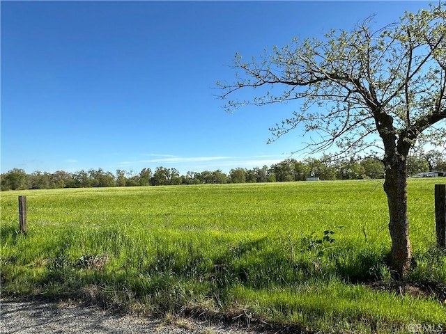 23271 Olive Ave, Gerber, CA 96035 - view of nature with a rural view