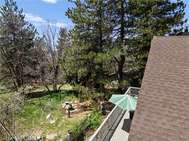 26429 Apache Trl, Rimforest, CA 92378 - view of yard