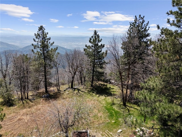 mountain view featuring a wooded view