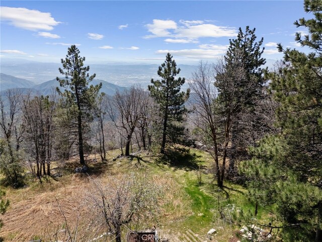 26429 Apache Trl, Rimforest, CA 92378 - view of mountain background with a heavily wooded area