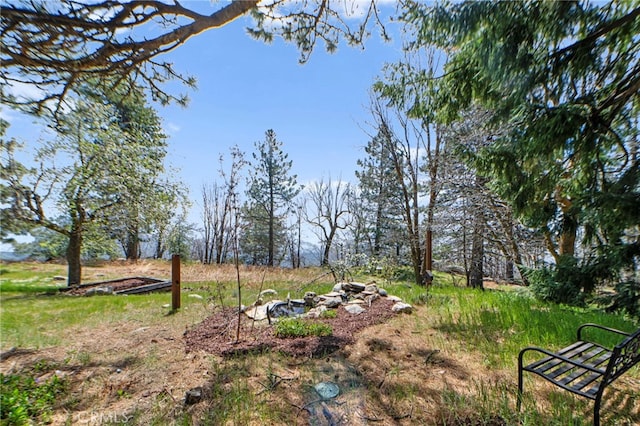 view of yard