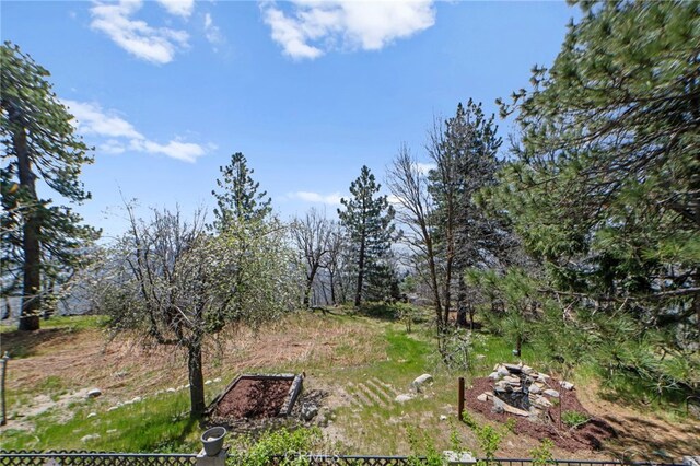 26429 Apache Trl, Rimforest, CA 92378 - view of yard